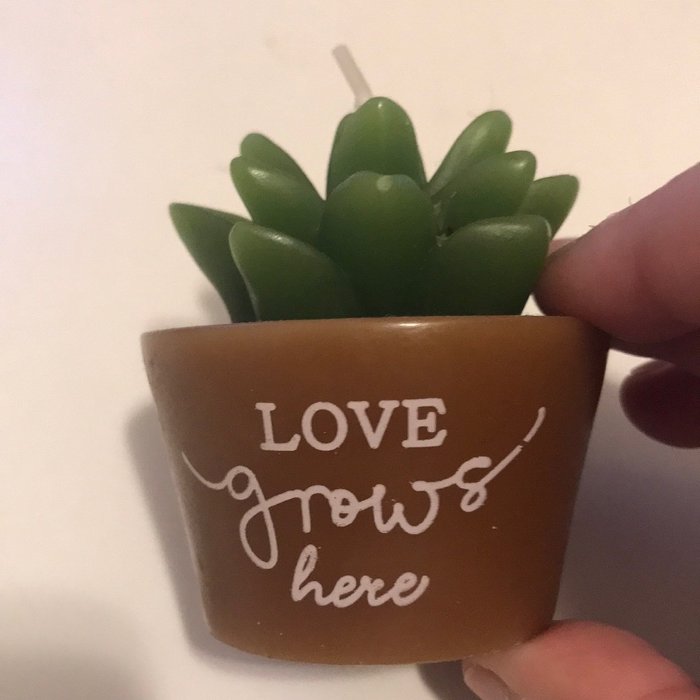 ⭐️ Love Grows Here Succulent Candle - Green & Brown